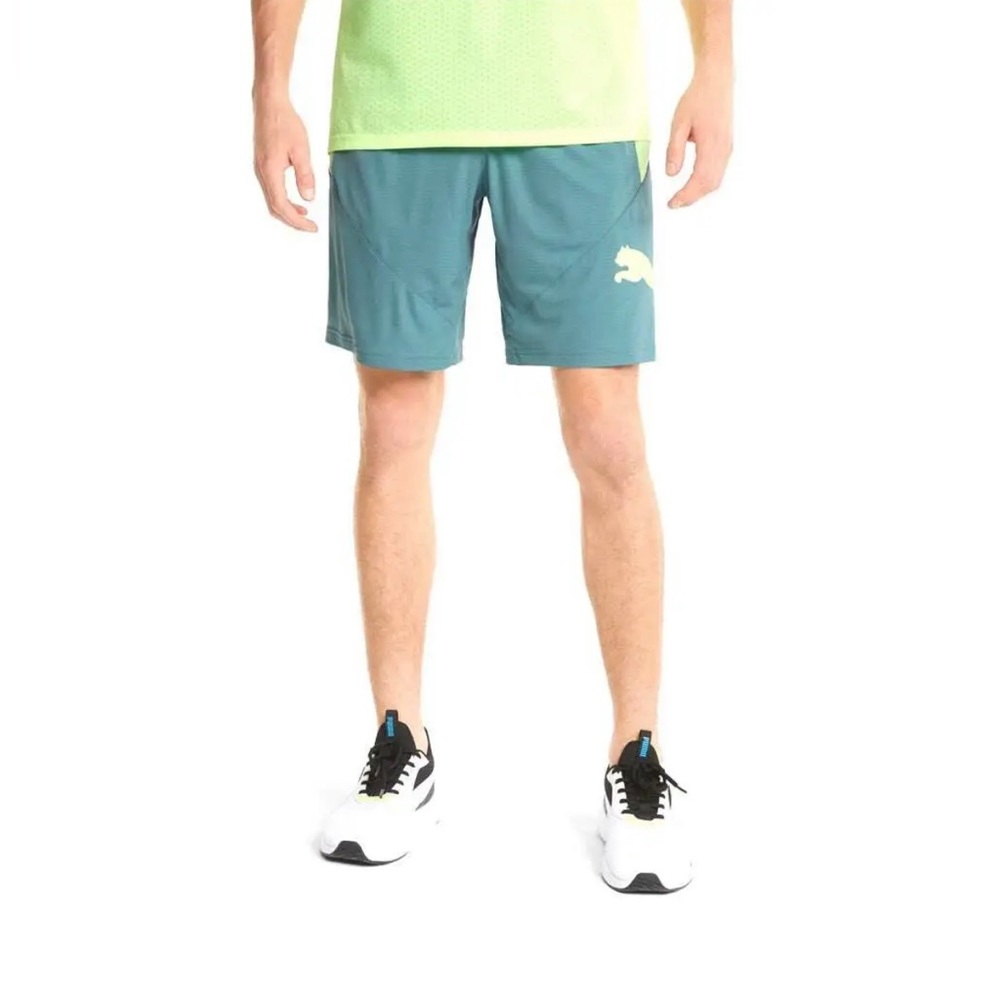 NWT Puma Men’s Drycell Cat Training Shorts